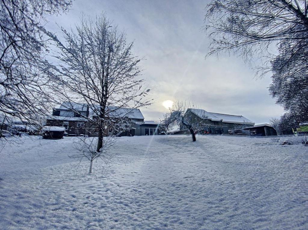 Villa "Sans-Soucis" Ancienne Ferme Pleine De Vie Theux Exterior foto